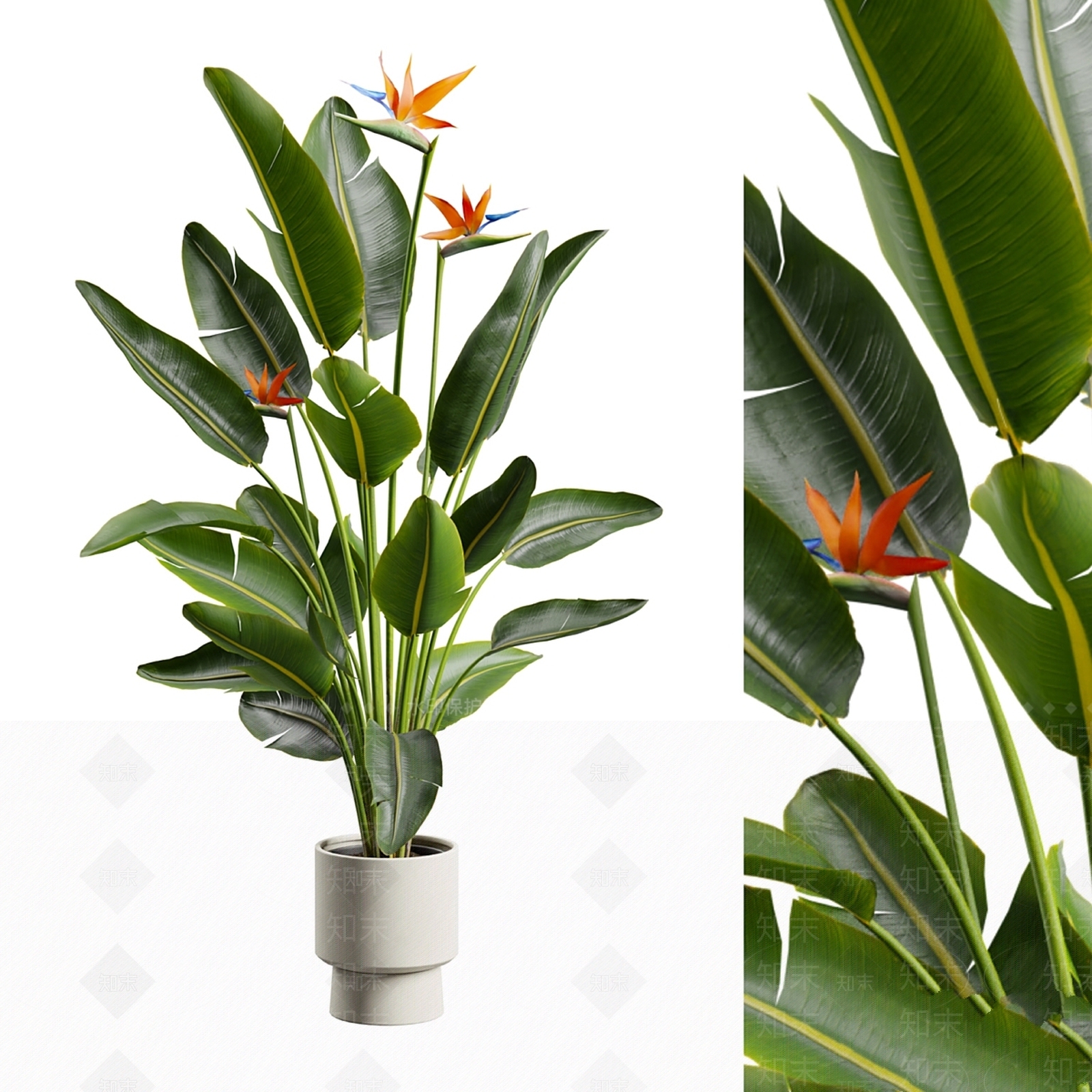 盆栽3D模型下载【ID:1171581130】
