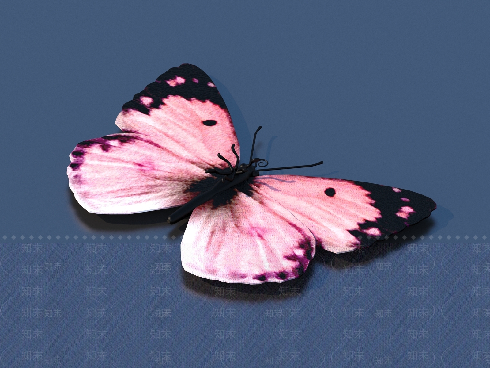 飞行类动物3D模型下载【ID:1171588575】