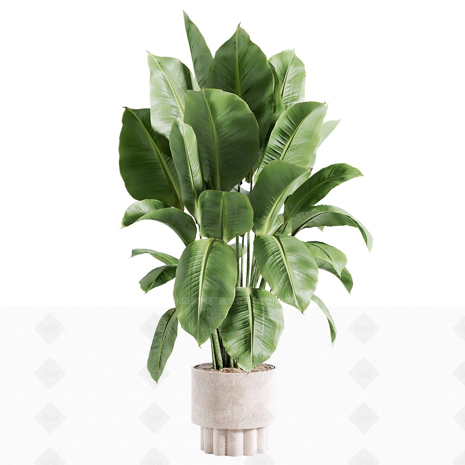 盆栽3D模型下载【ID:1171590337】