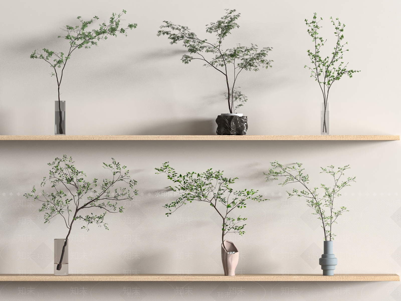 水生植物3D模型下载【ID:1171620917】