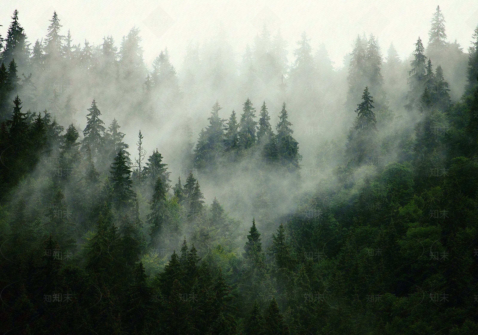 现代其它外景贴图下载【ID:1171690255】