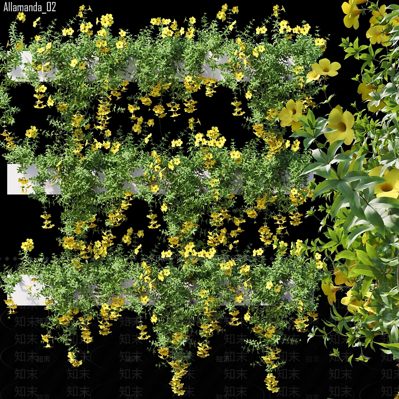 其他绿植3D模型下载【ID:1171779930】