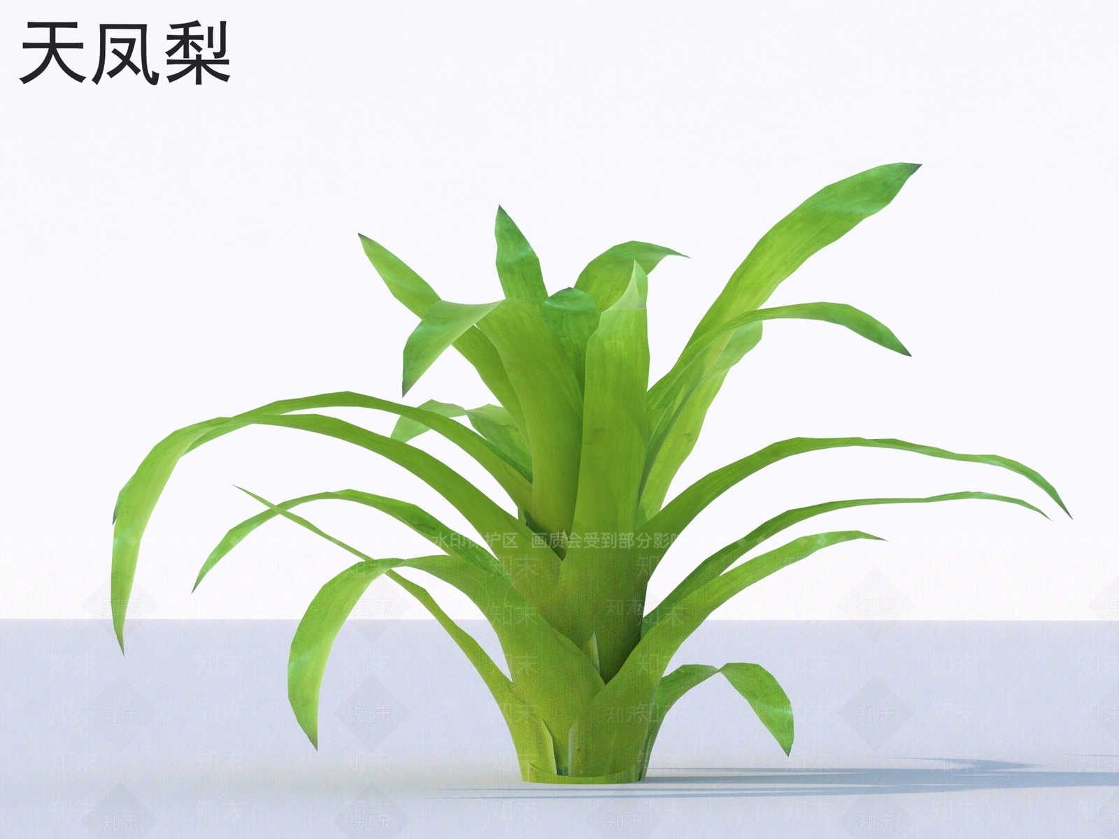 草3D模型下载【ID:1171799145】