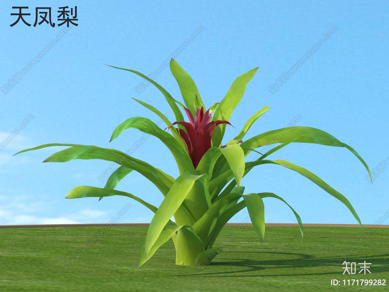 草3D模型下载【ID:1171799282】