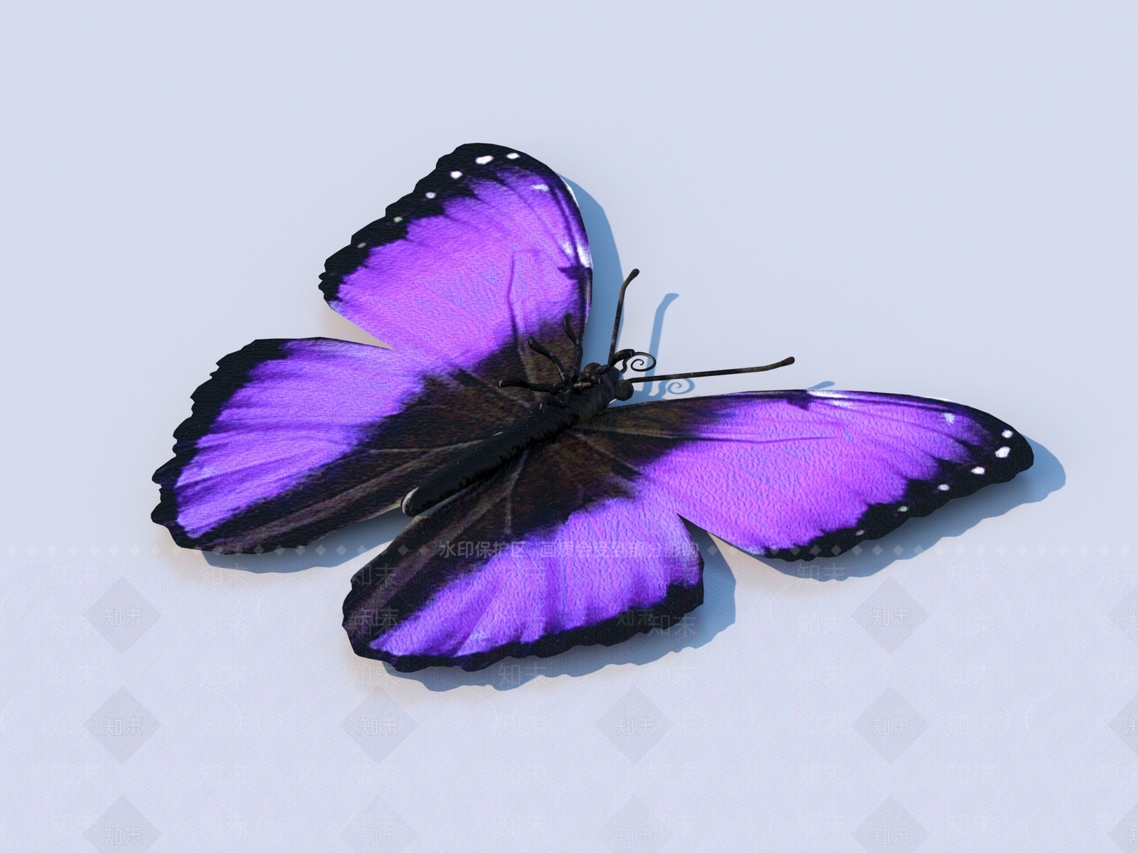 飞行类动物3D模型下载【ID:1171818858】