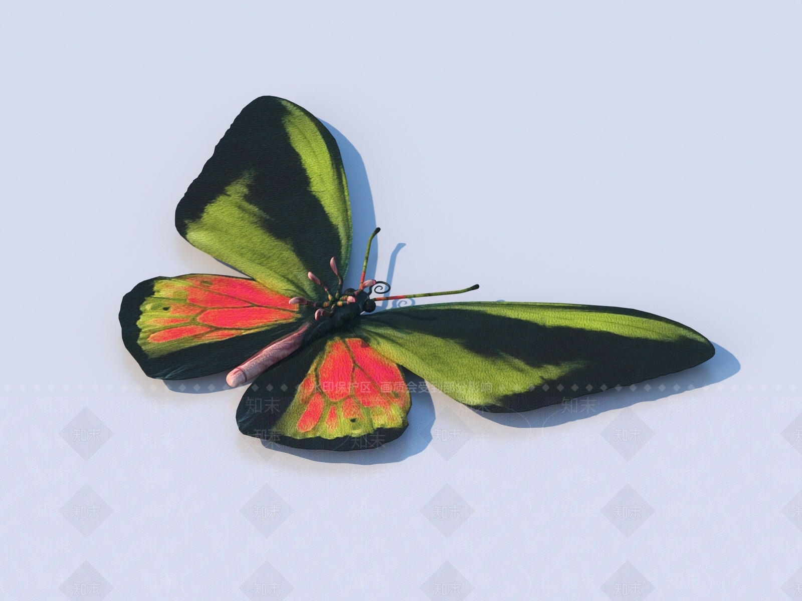 飞行类动物3D模型下载【ID:1171819794】