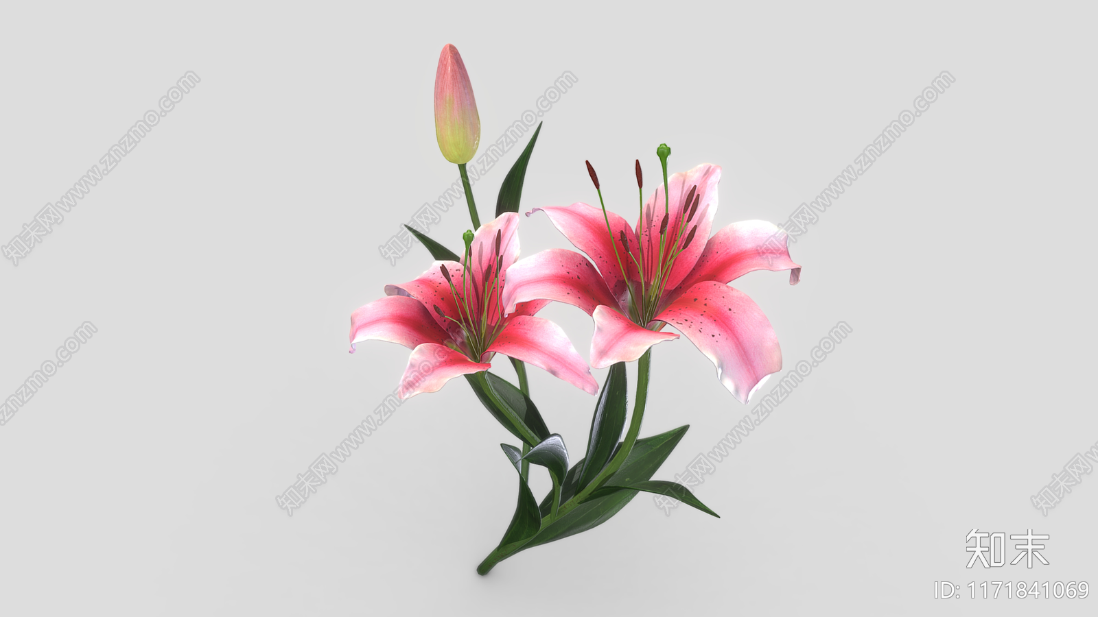 花3D模型下载【ID:1171841069】