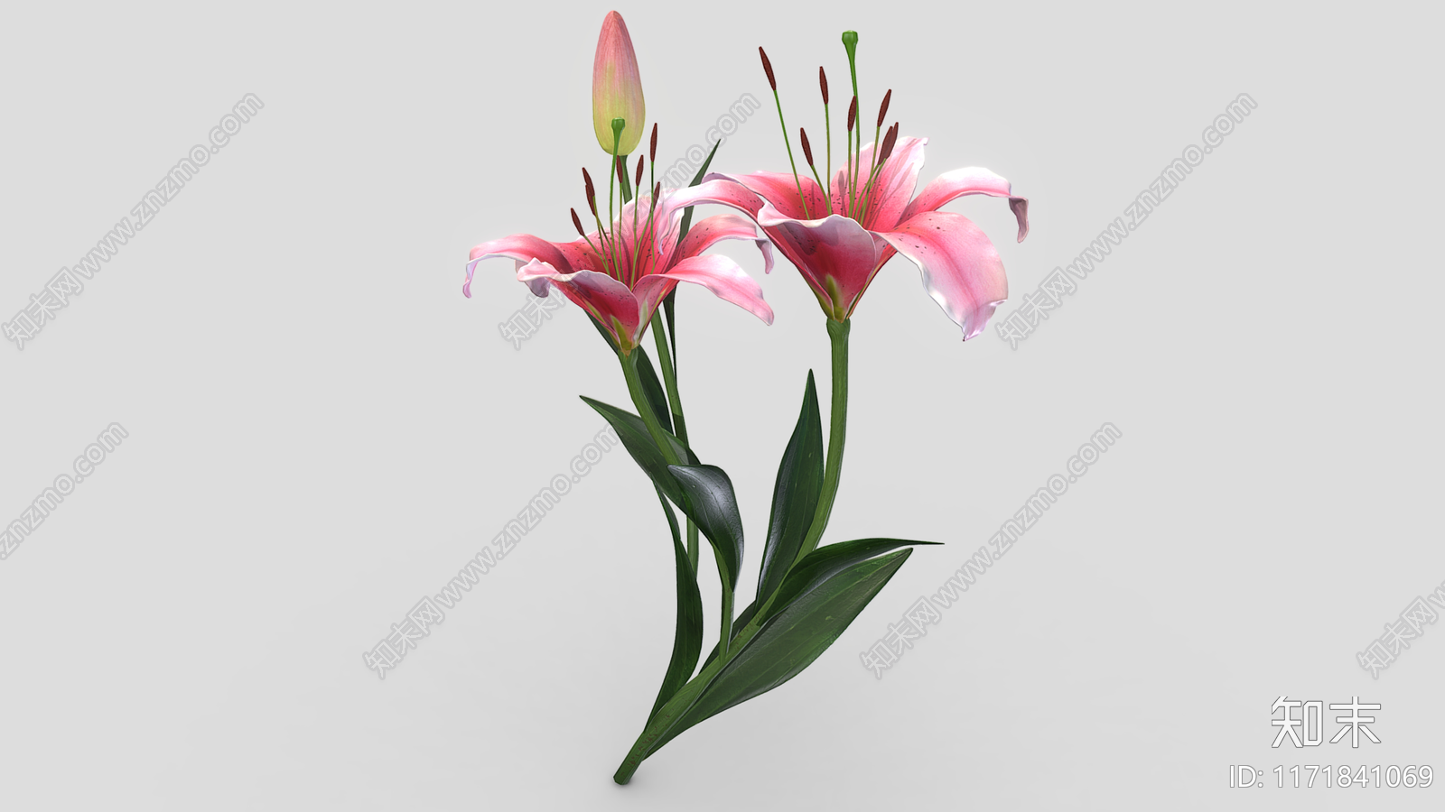 花3D模型下载【ID:1171841069】