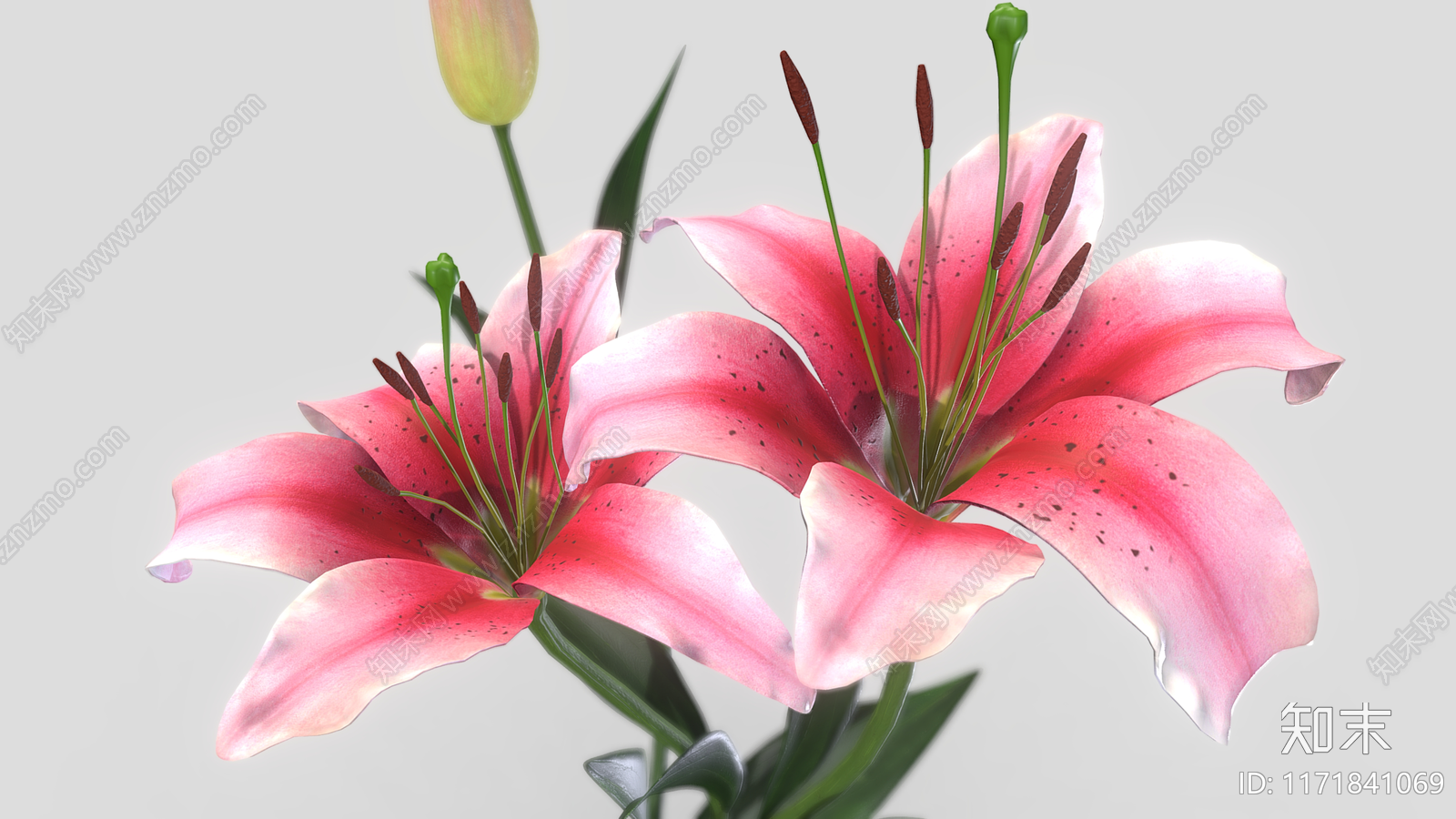 花3D模型下载【ID:1171841069】