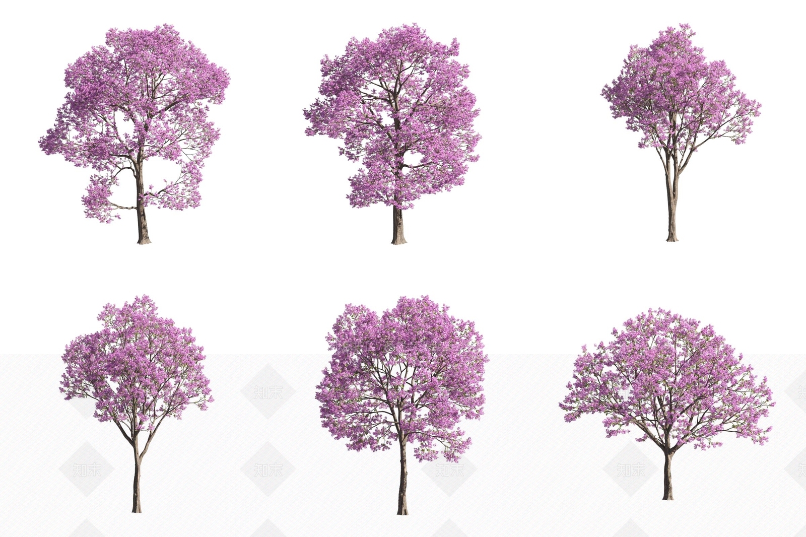 景观树3D模型下载【ID:1171890918】