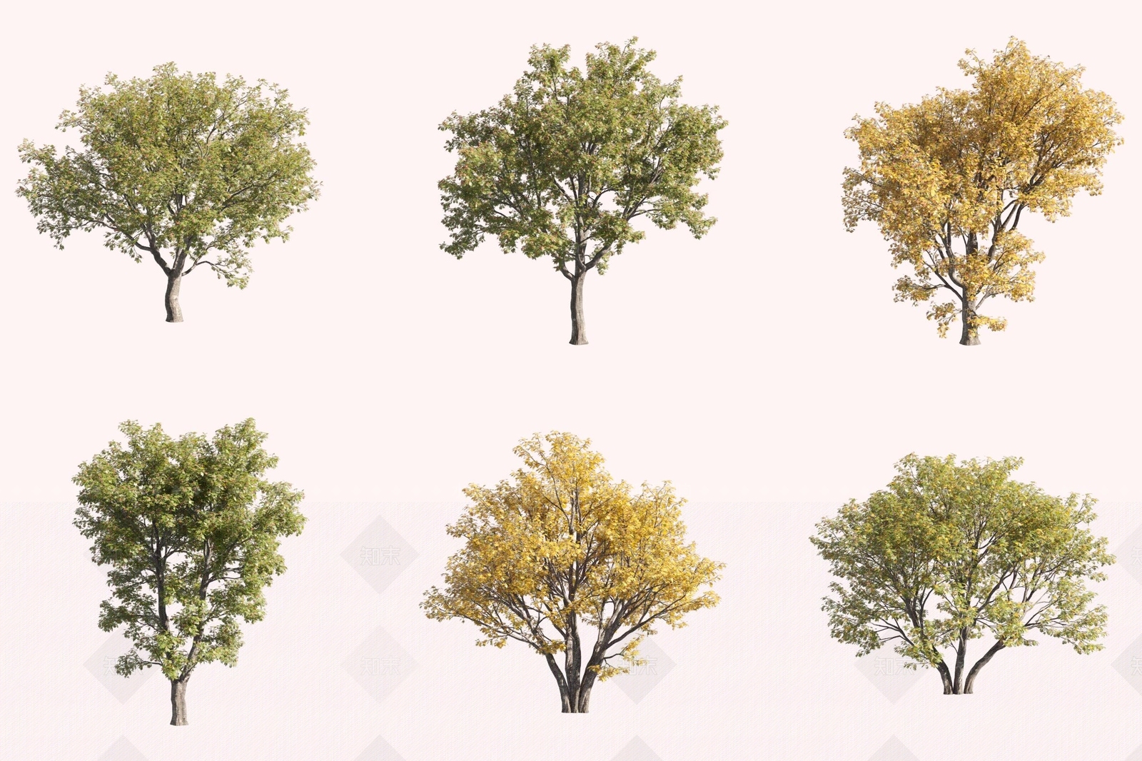 景观树3D模型下载【ID:1171891614】