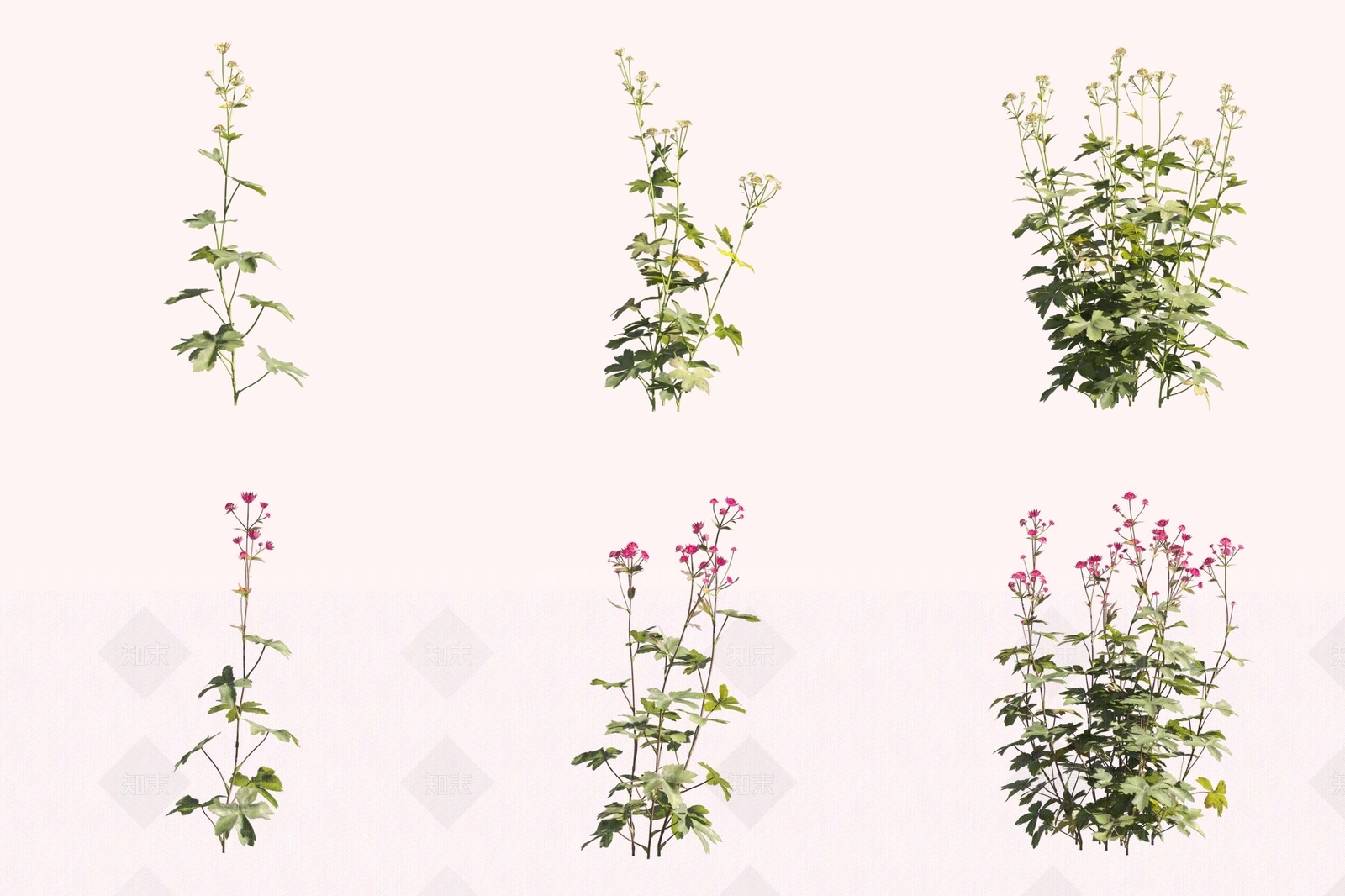 花草组合3D模型下载【ID:1171891679】