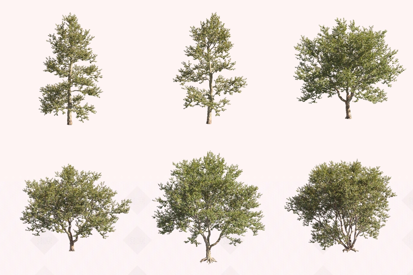 景观树3D模型下载【ID:1171893571】