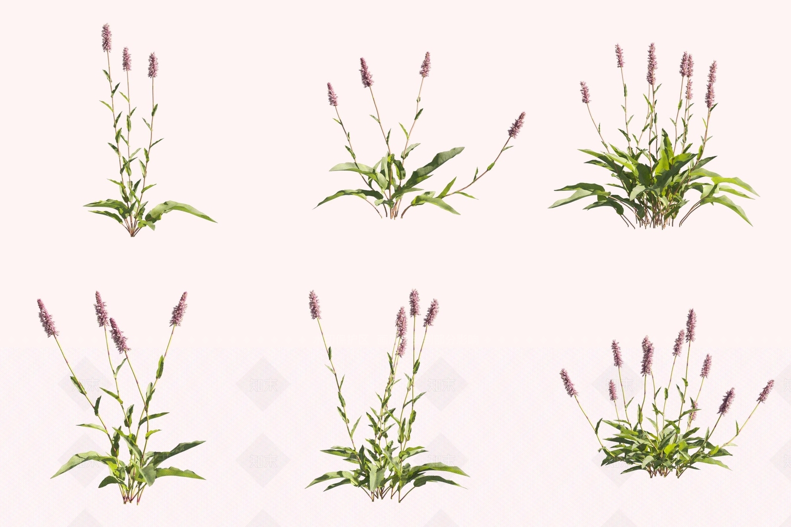 花草组合3D模型下载【ID:1171894195】