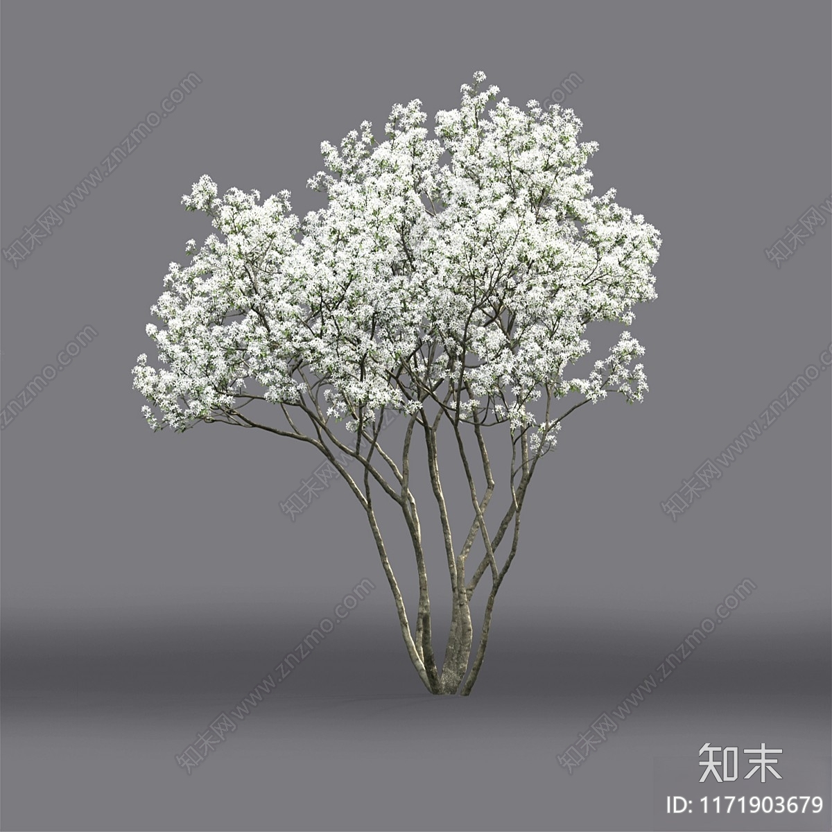 其他树木3D模型下载【ID:1171903679】