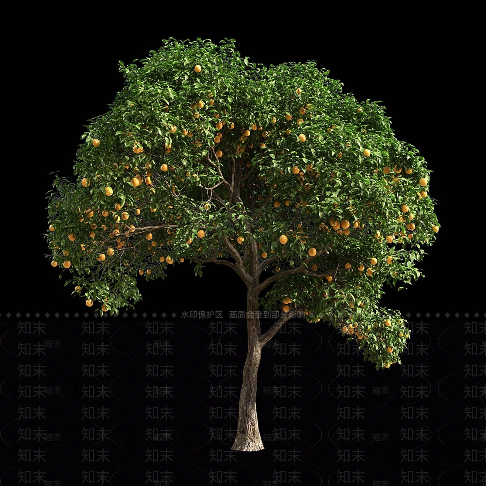 其他树木3D模型下载【ID:1171904024】