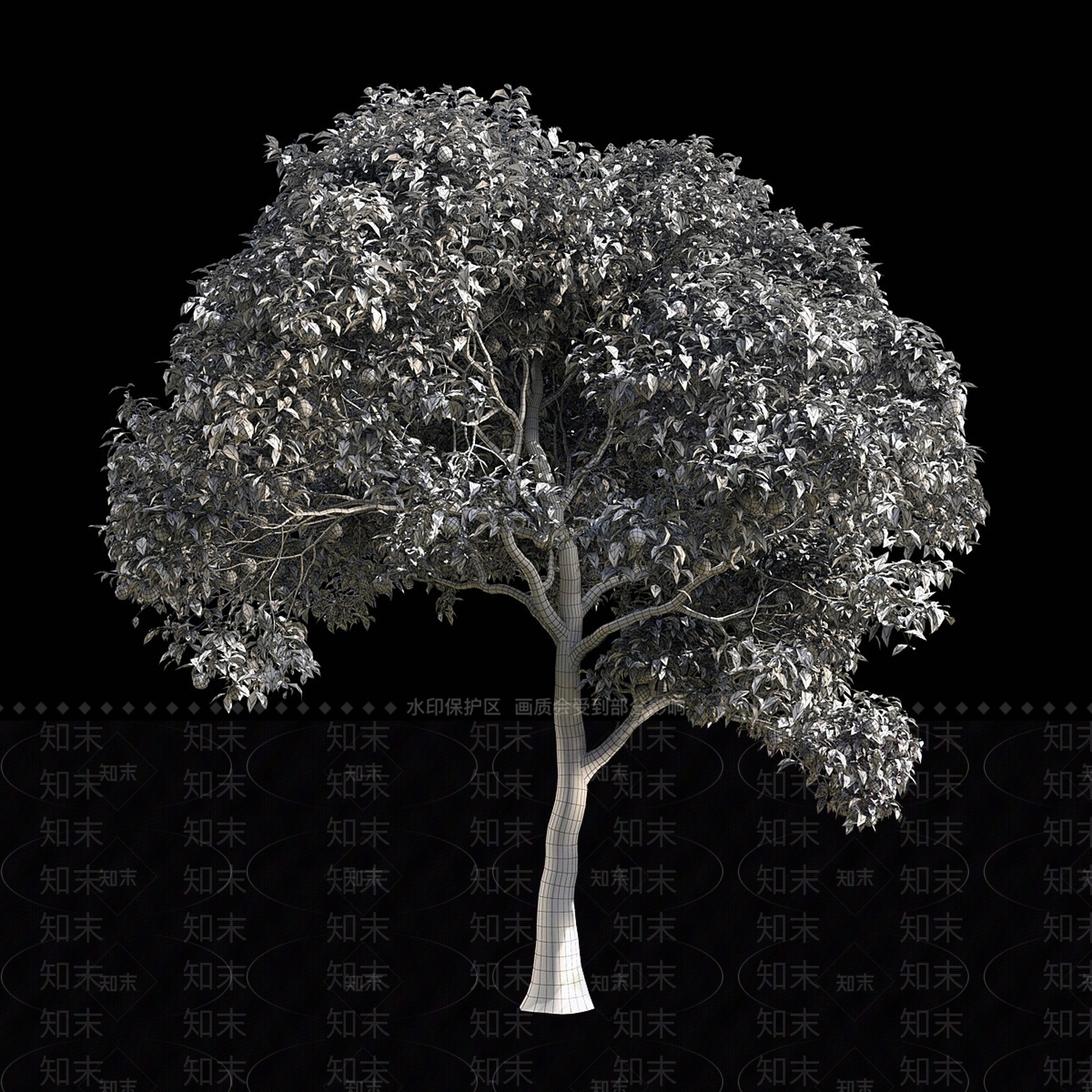 其他树木3D模型下载【ID:1171904024】