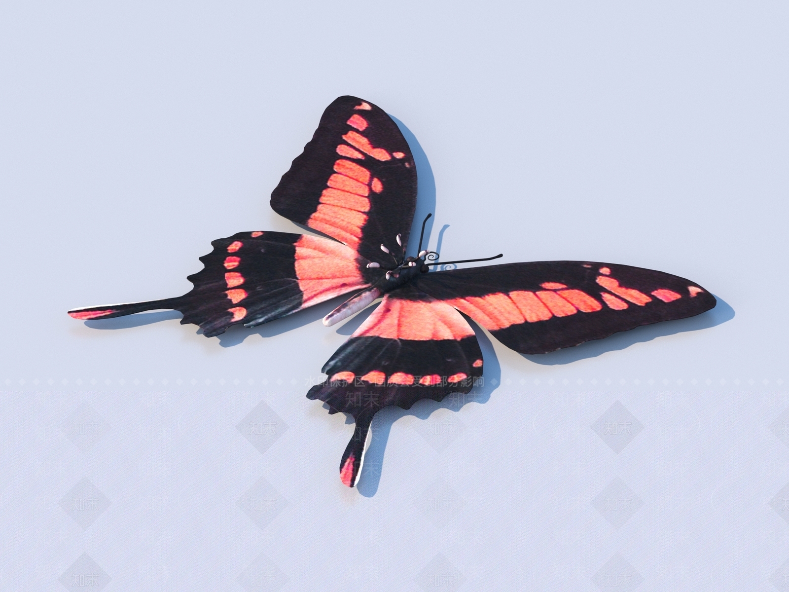 飞行类动物3D模型下载【ID:1171964438】