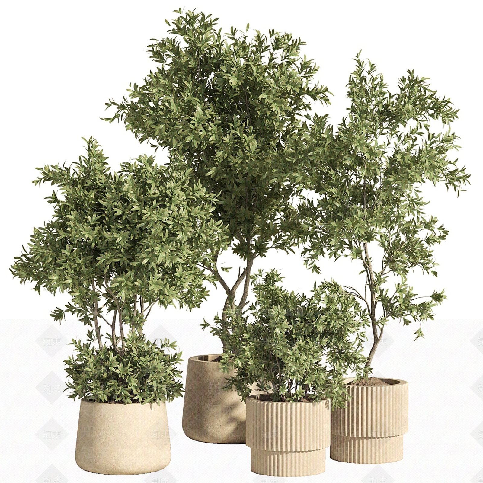 盆栽3D模型下载【ID:1171971104】