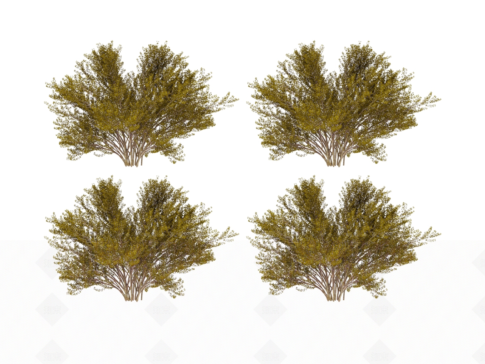 其他绿植3D模型下载【ID:1172100960】