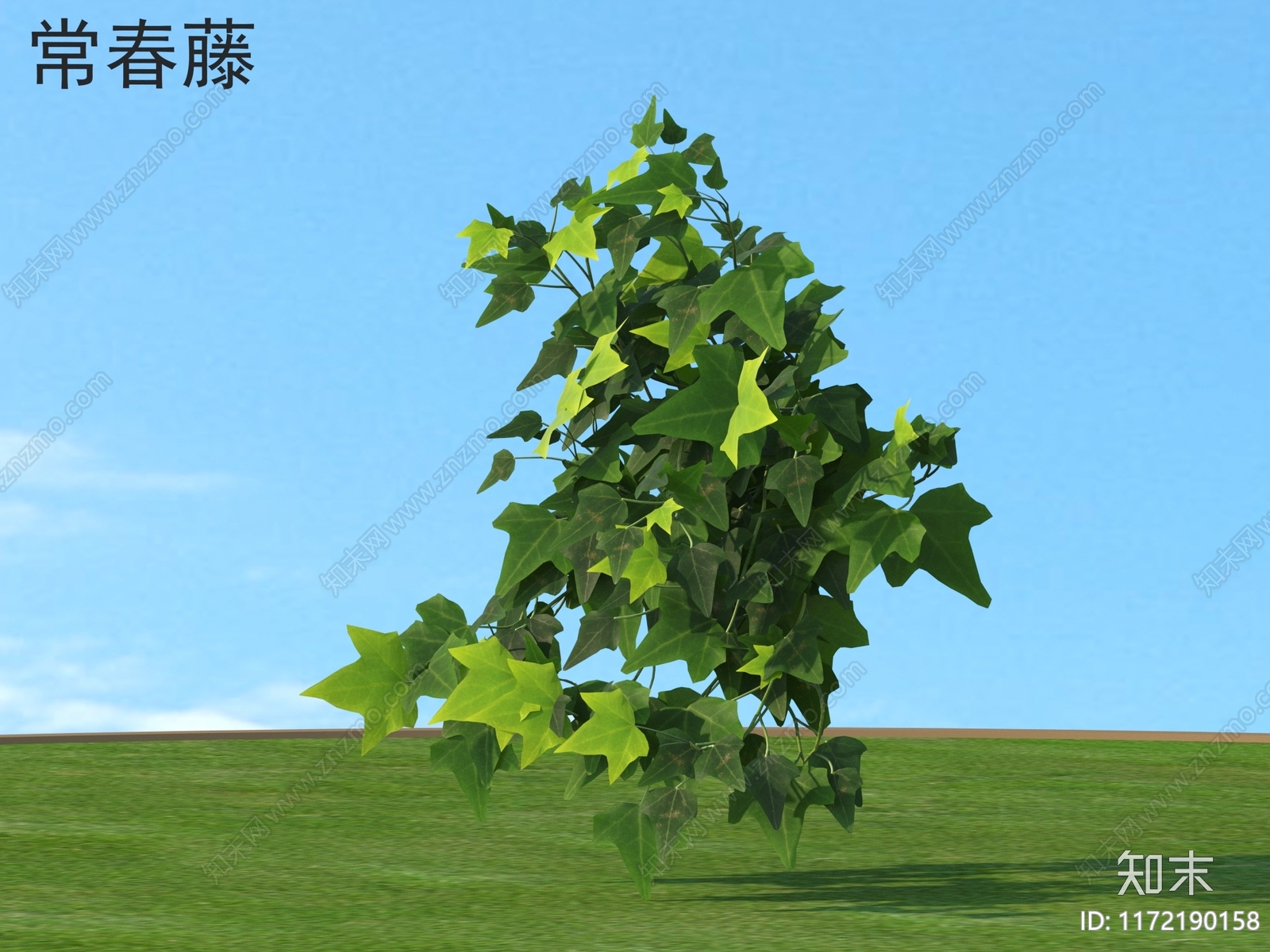 灌木3D模型下载【ID:1172190158】