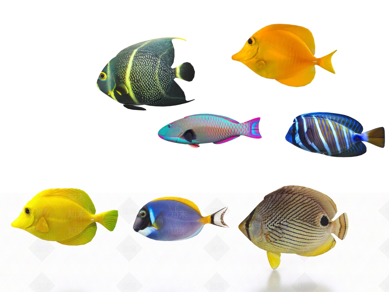 水生类动物3D模型下载【ID:1172257622】