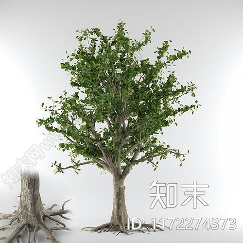 花3D模型下载【ID:1172274373】