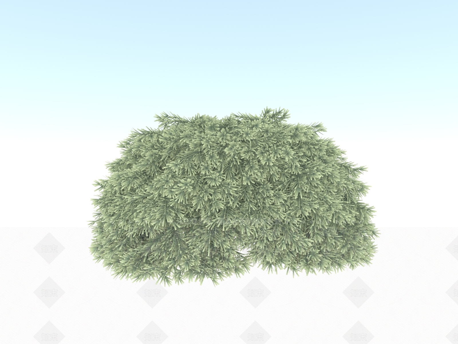 其他绿植3D模型下载【ID:1172277187】