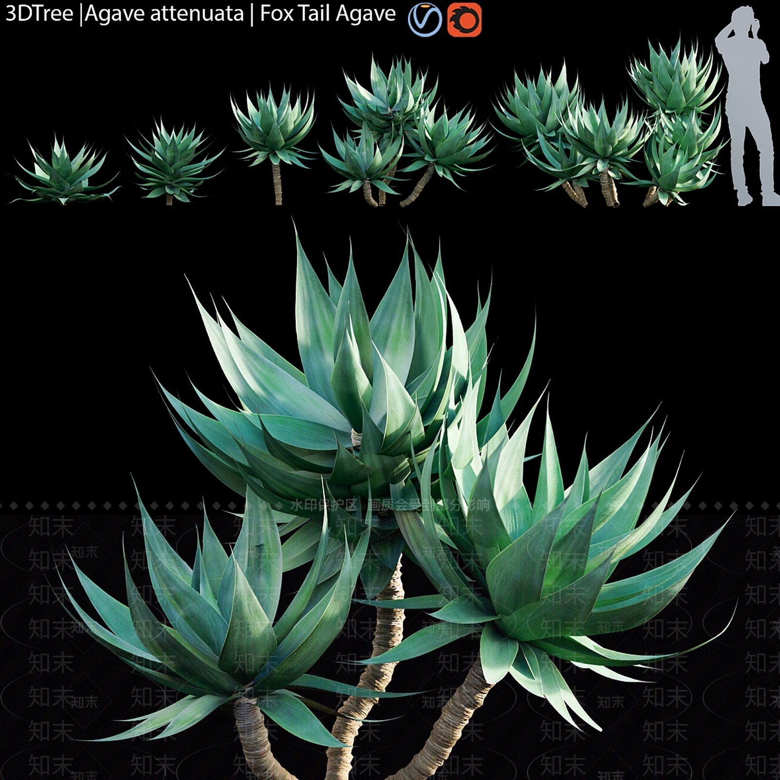 其他绿植3D模型下载【ID:1172304725】