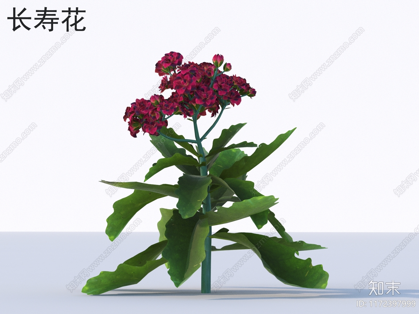 花3D模型下载【ID:1172397999】