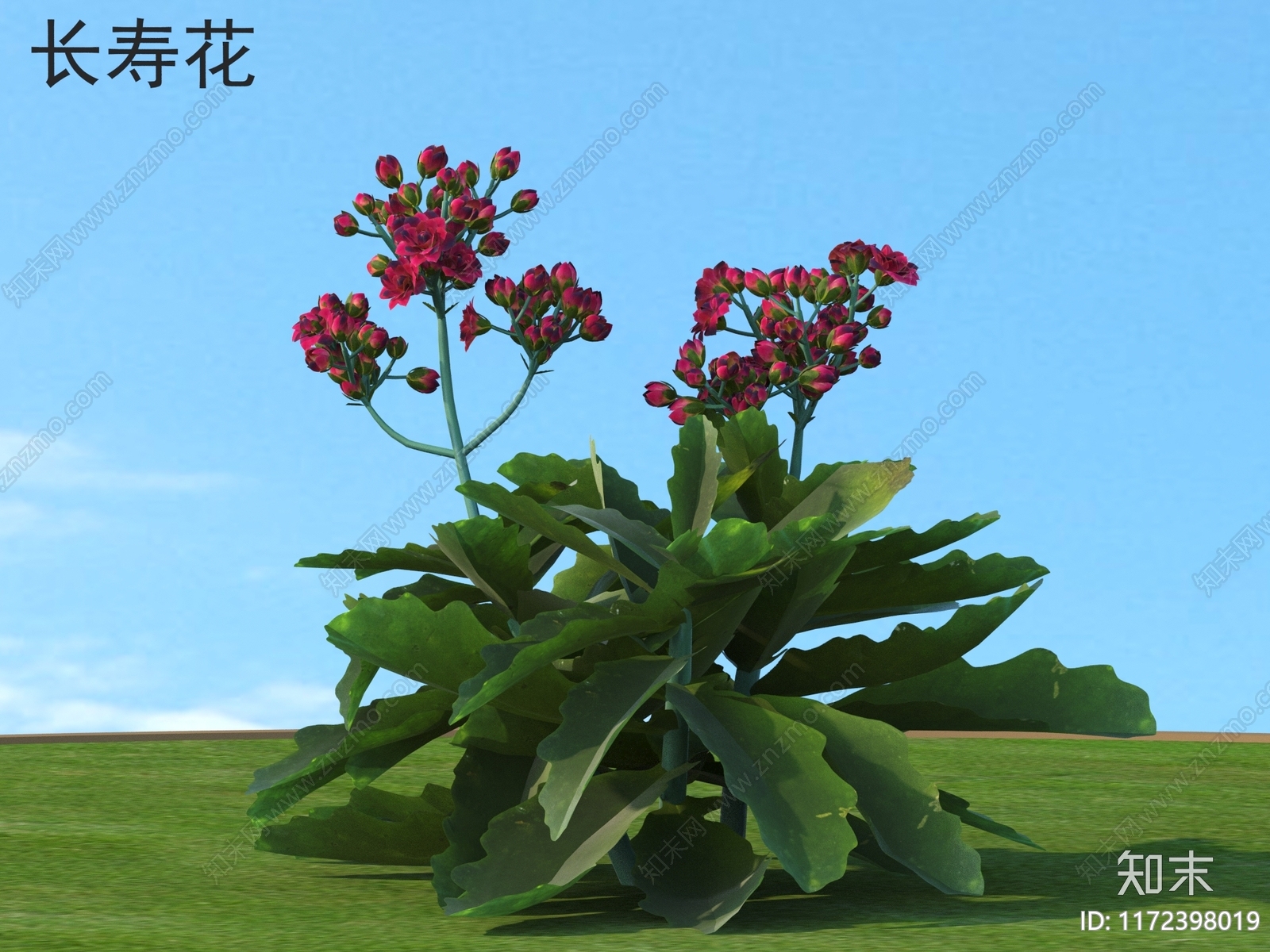 花3D模型下载【ID:1172398019】