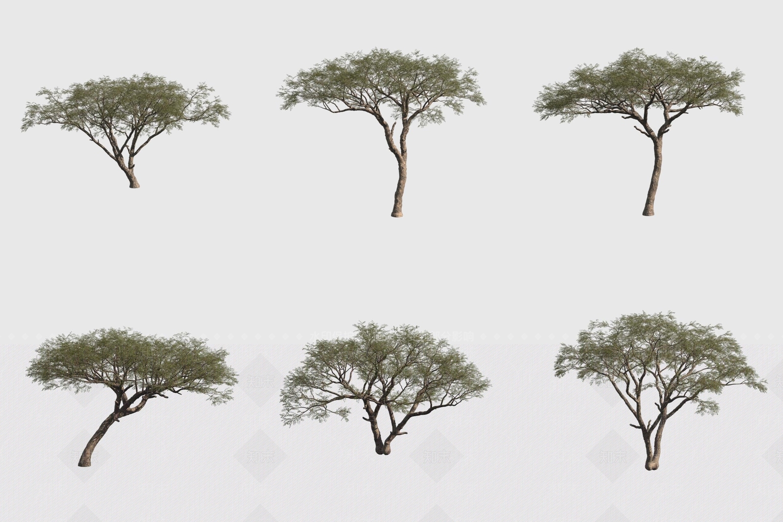 景观树3D模型下载【ID:1172429939】