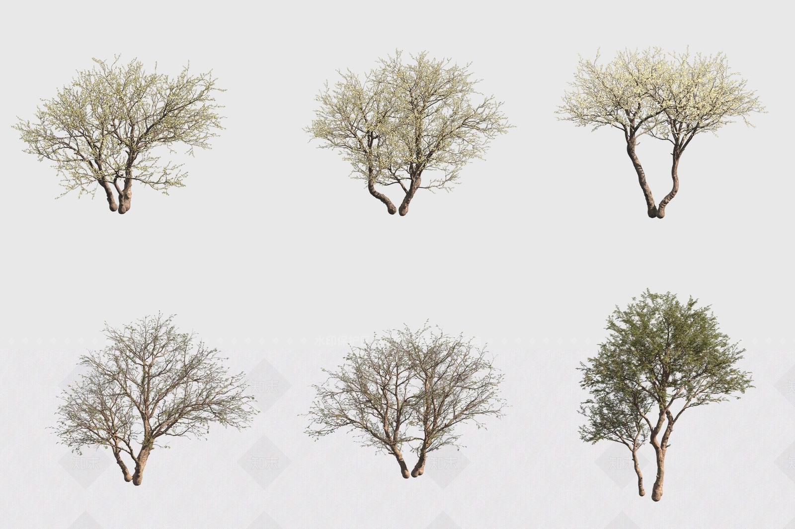 景观树3D模型下载【ID:1172430003】