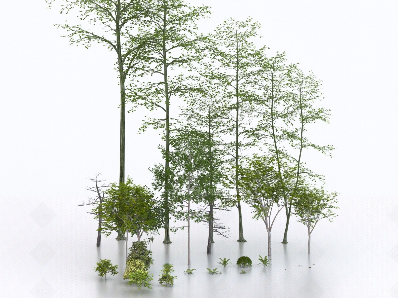 景观树3D模型下载【ID:1172445954】