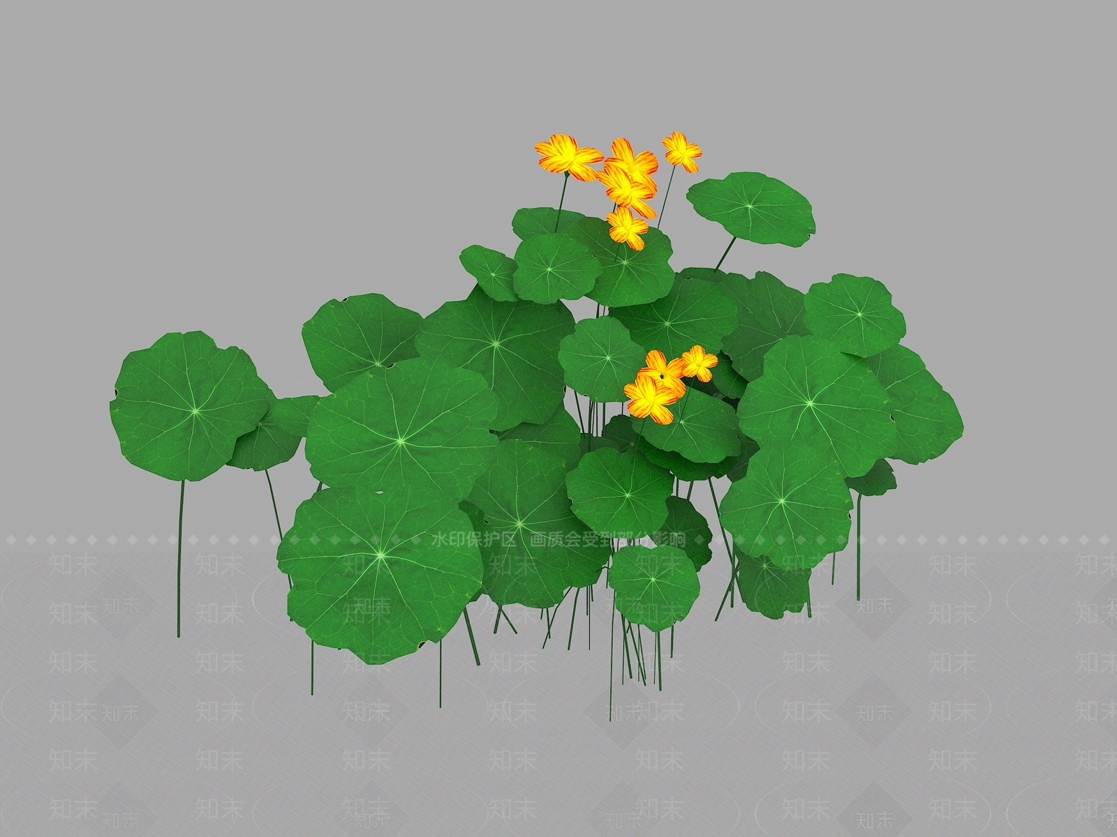 其他绿植3D模型下载【ID:1172486535】