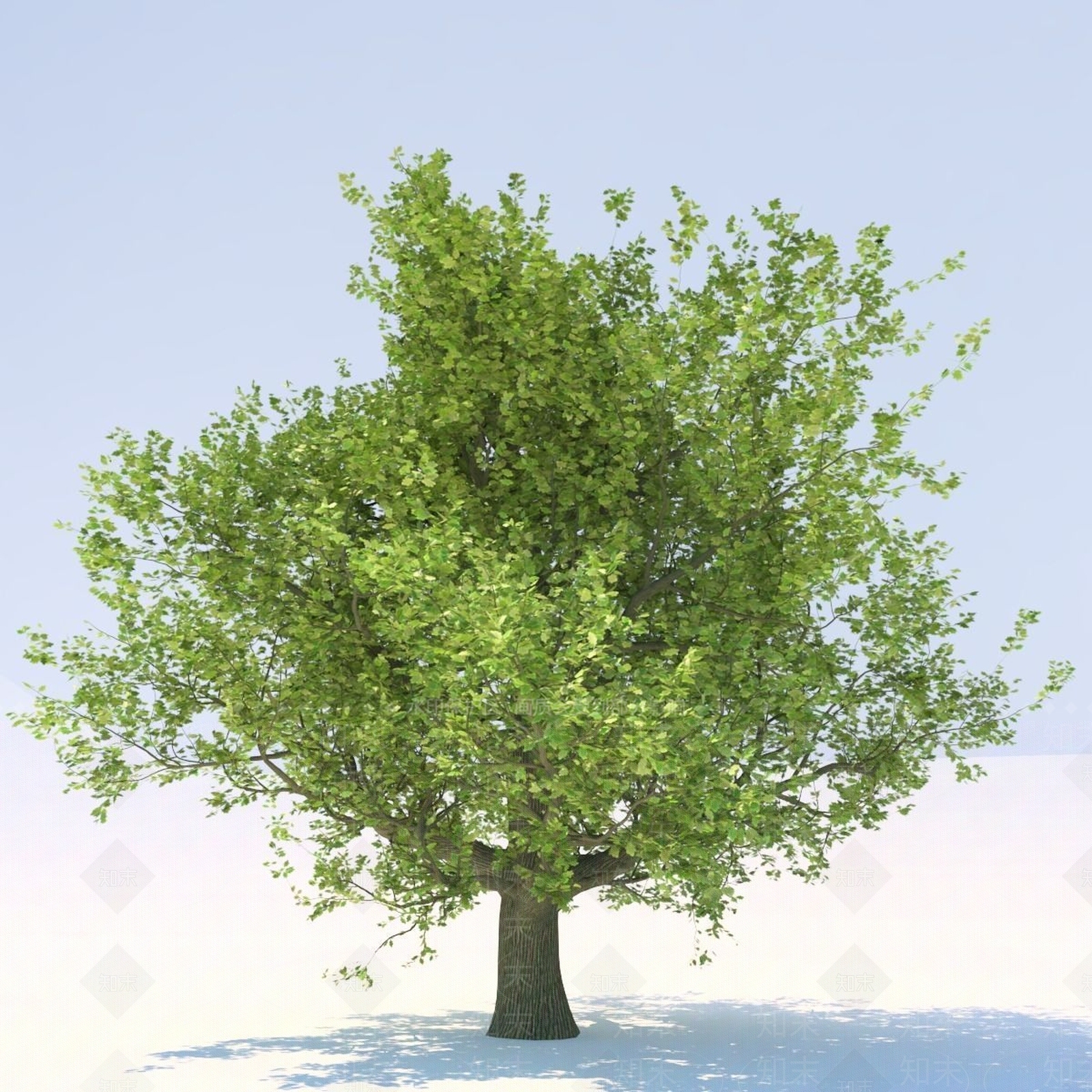 景观树3D模型下载【ID:1172500789】