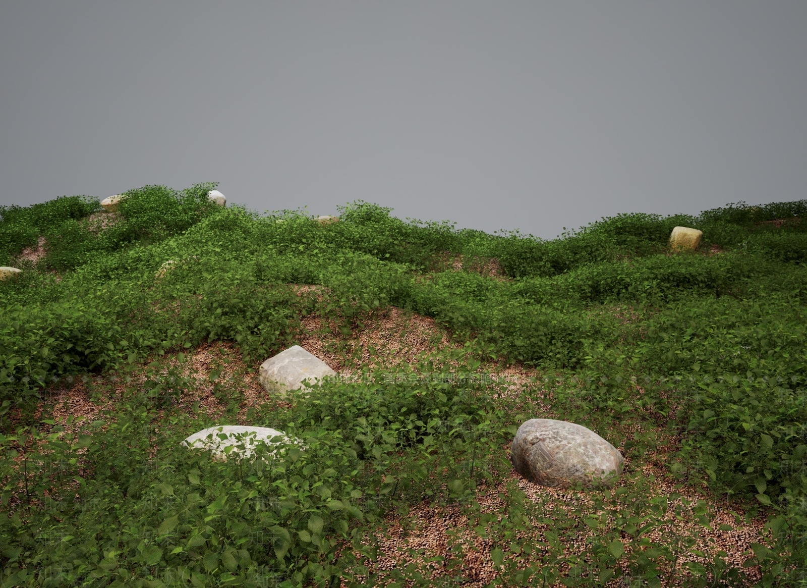草3D模型下载【ID:1172575688】