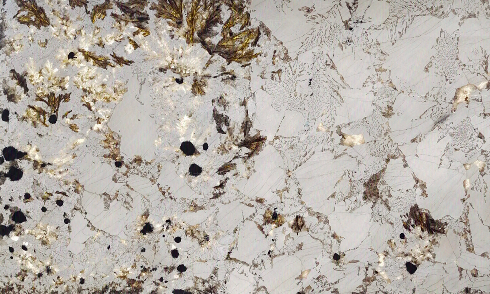 现代轻奢大理石贴图下载【ID:1172579297】