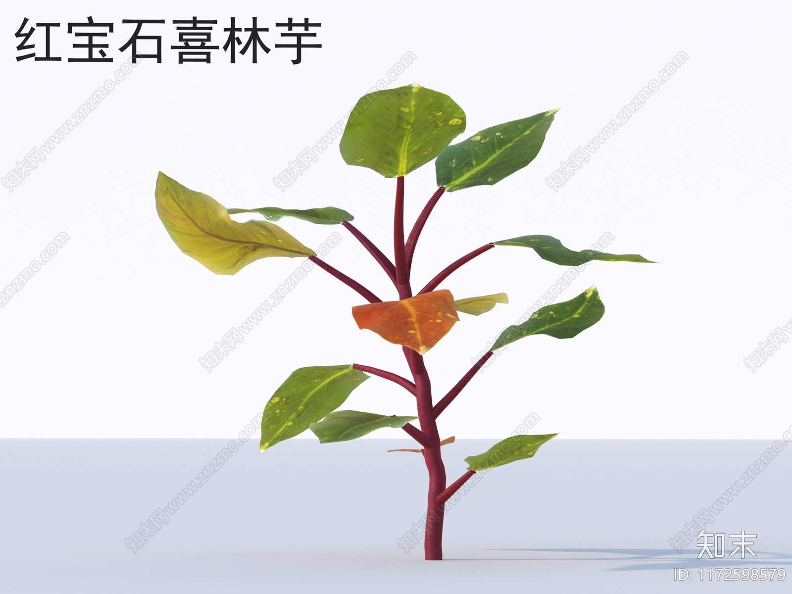 草3D模型下载【ID:1172598579】