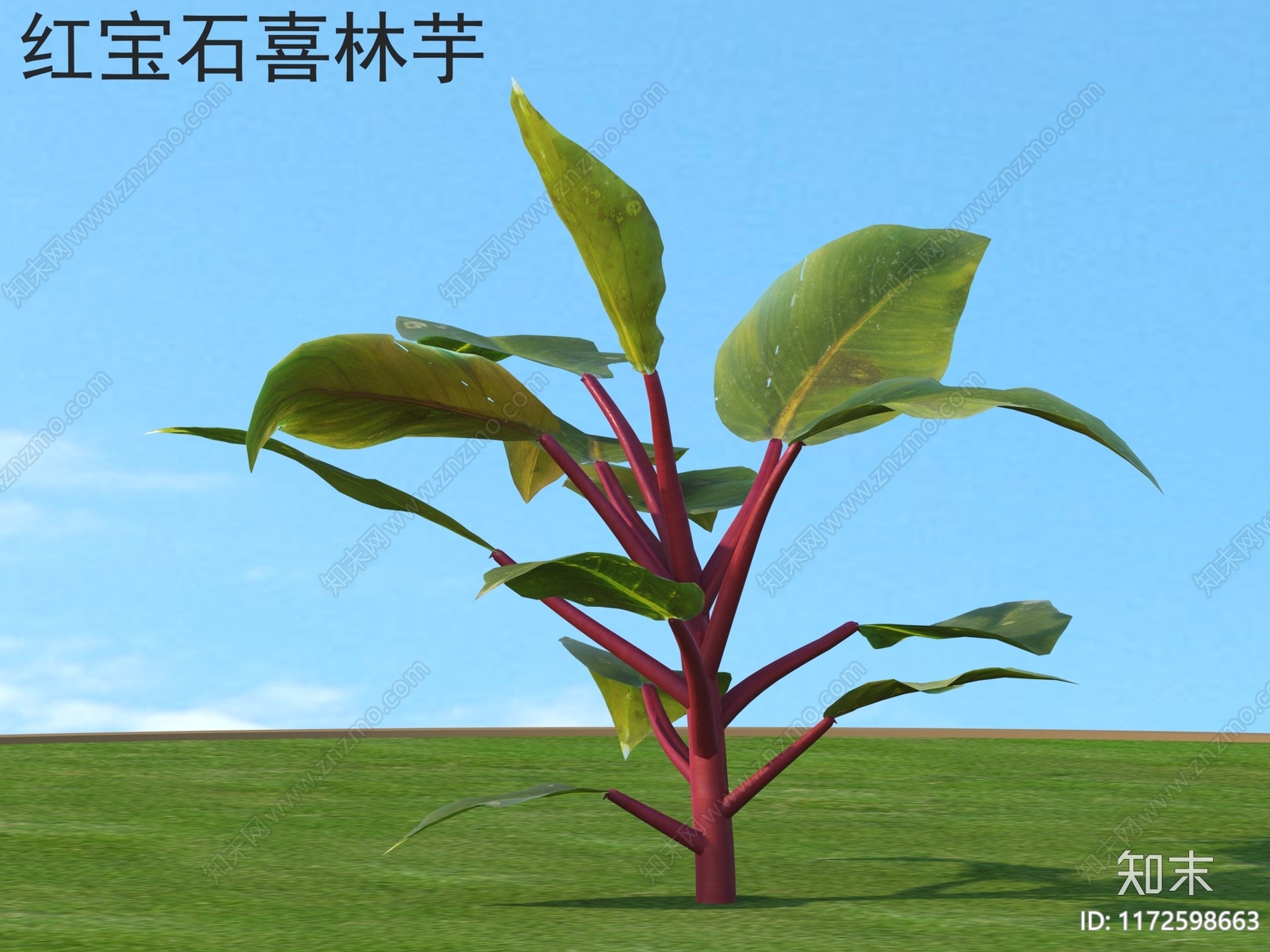 草3D模型下载【ID:1172598663】