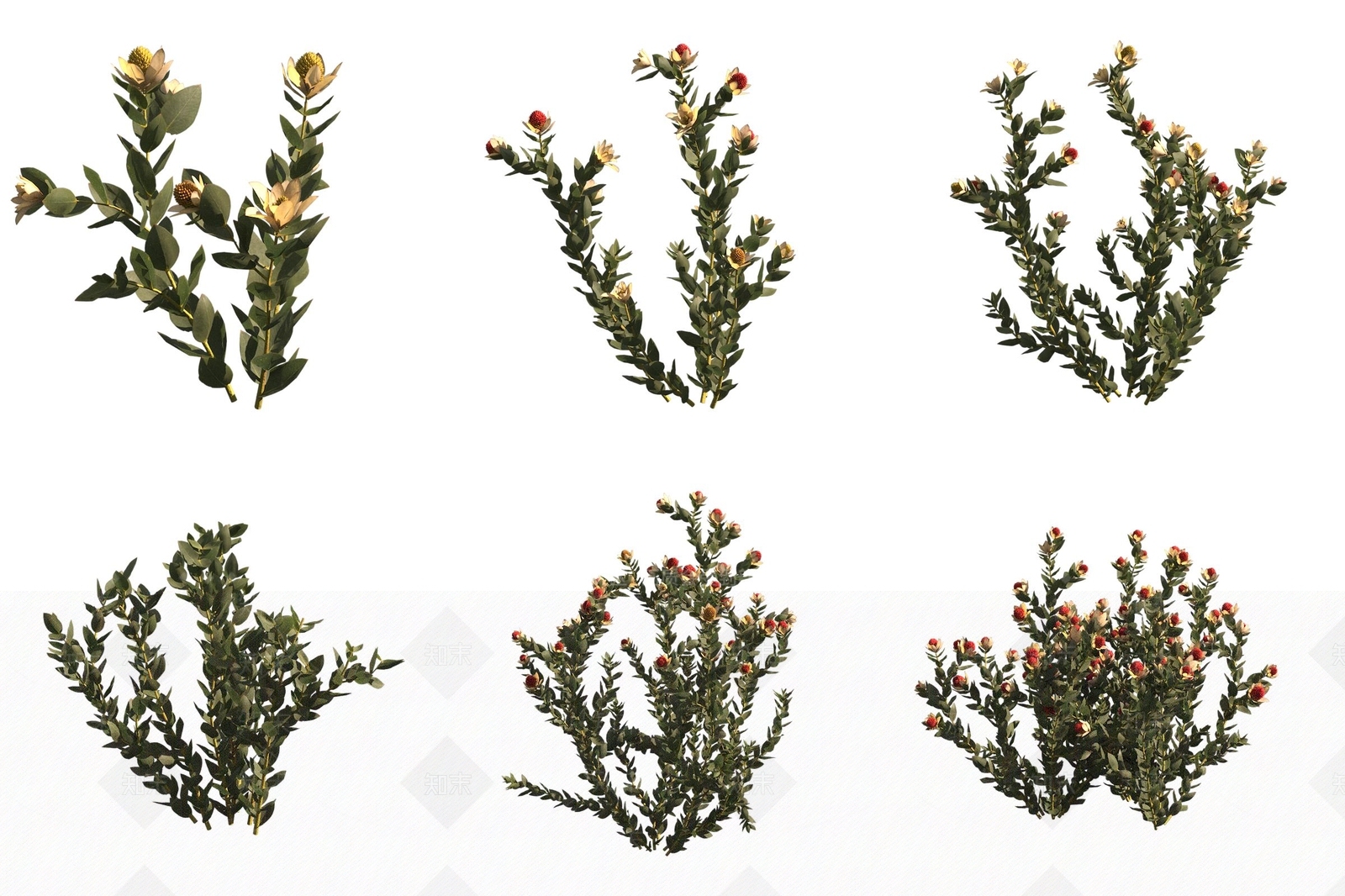花草组合3D模型下载【ID:1172625652】