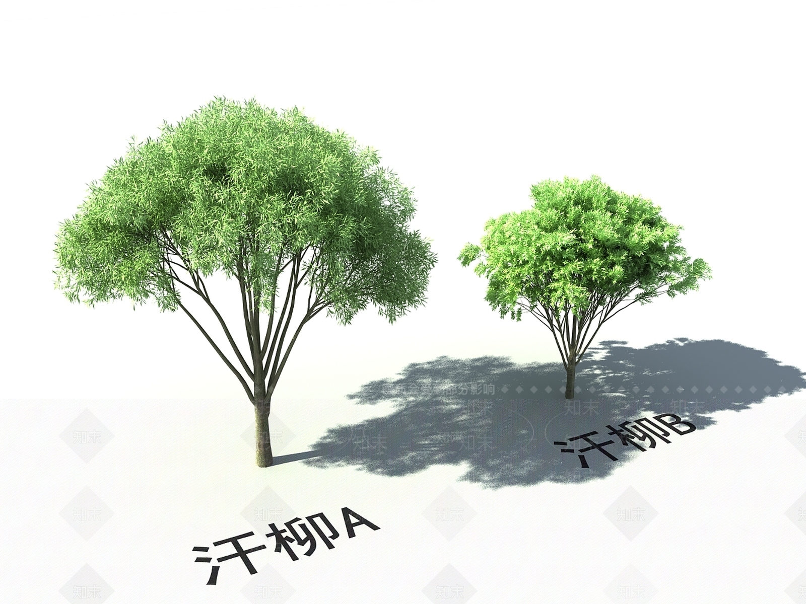 其他树木3D模型下载【ID:1172664840】