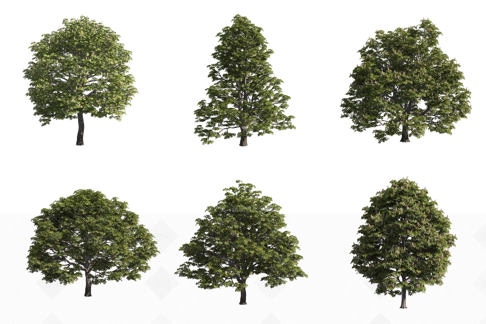 景观树3D模型下载【ID:1172909469】
