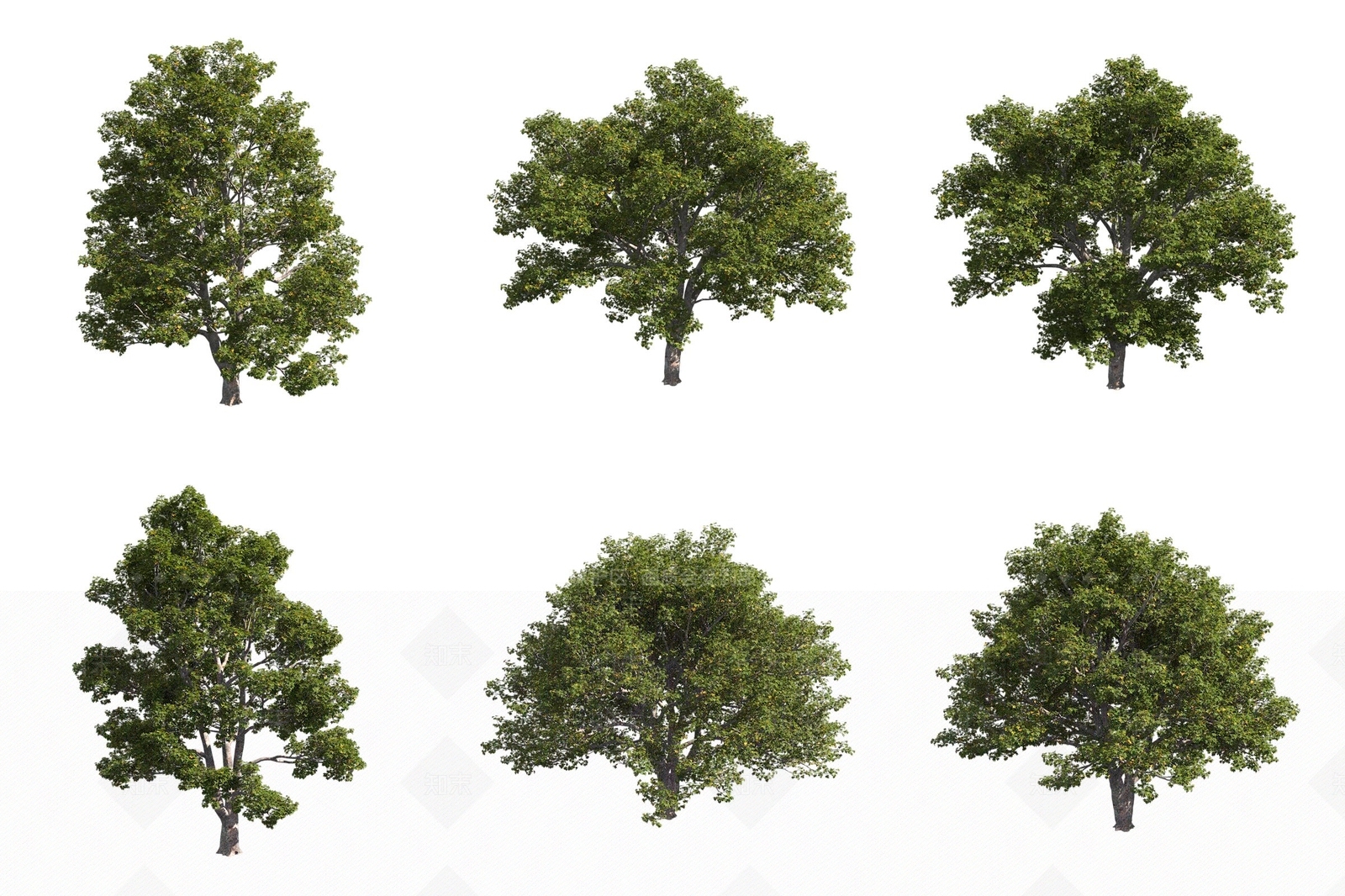 景观树3D模型下载【ID:1172909257】