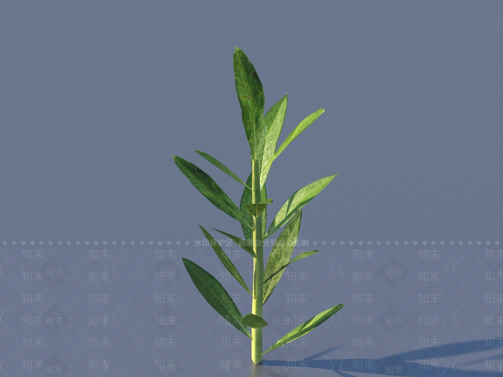 其他树木3D模型下载【ID:1172819121】