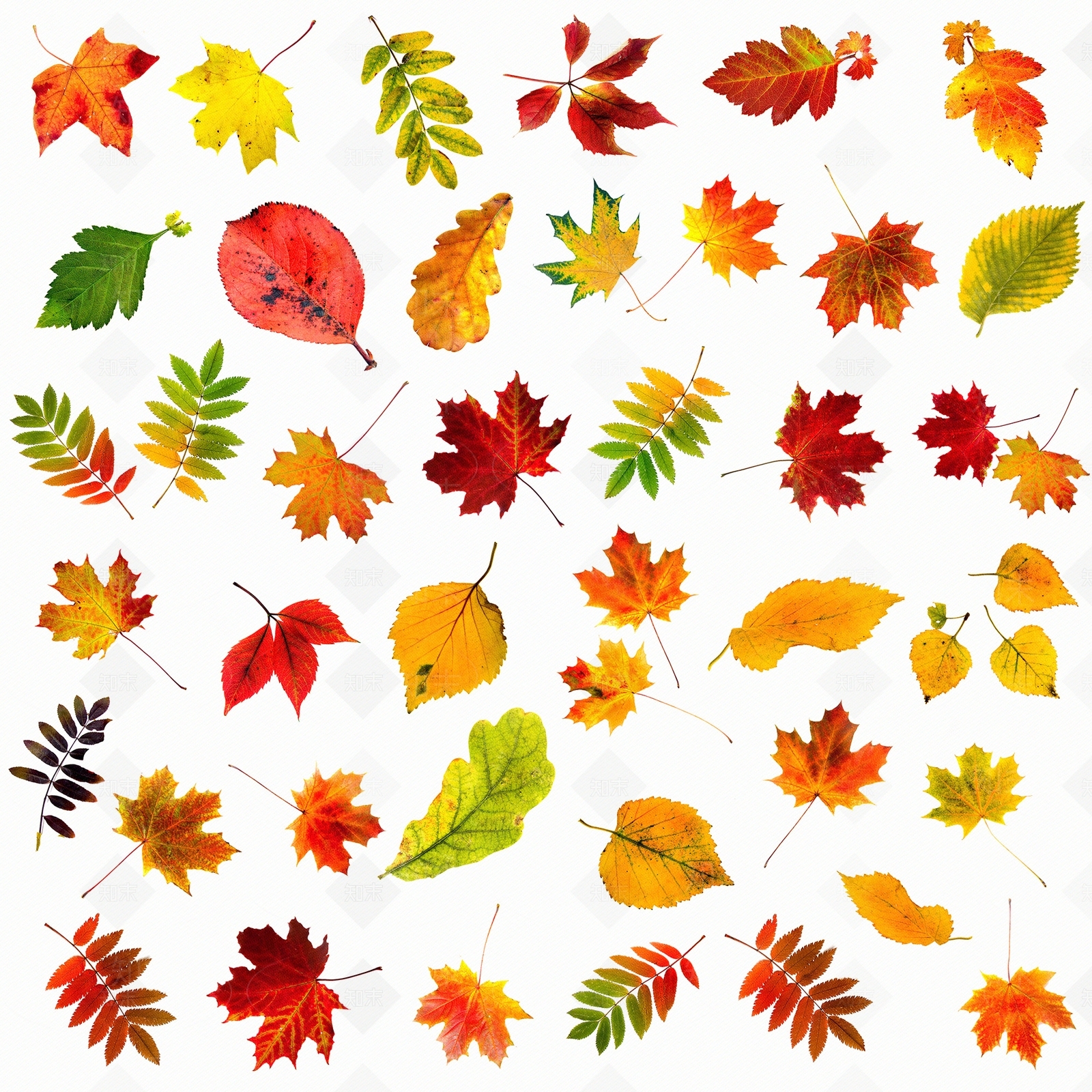 现代壁纸贴图下载【ID:1172824777】