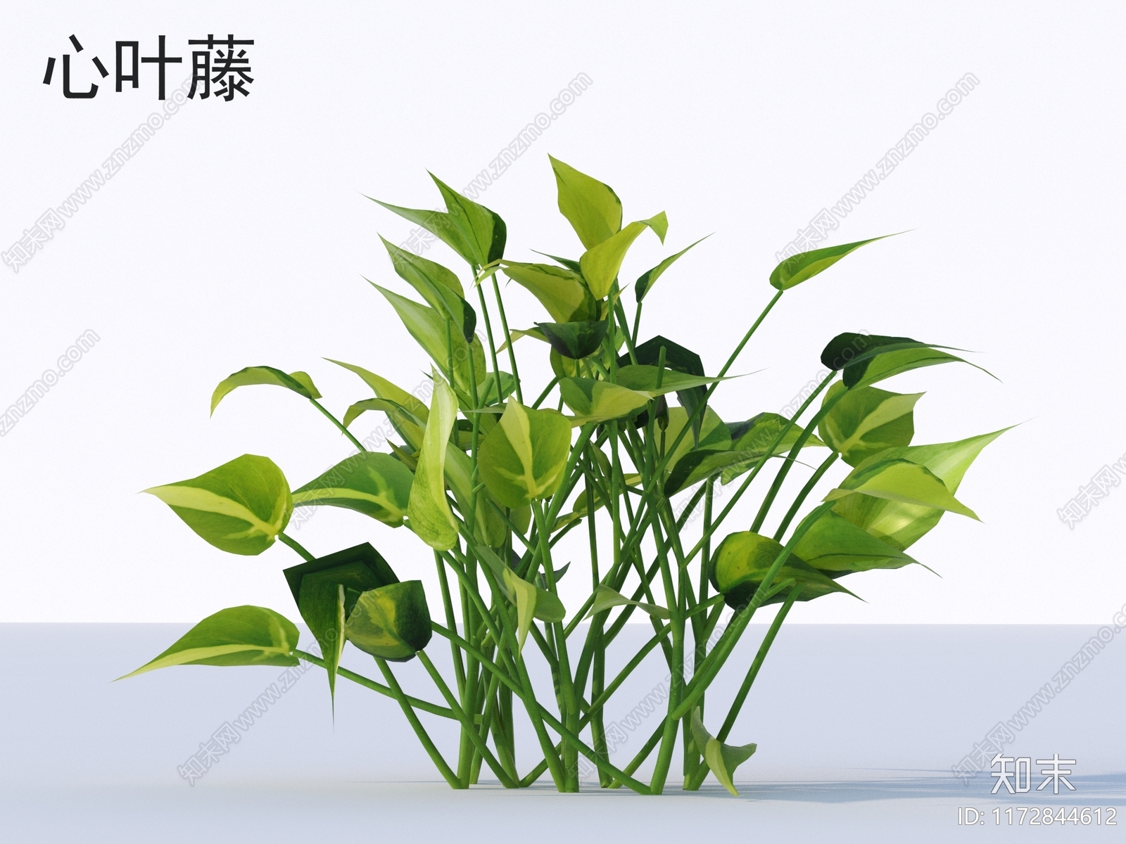 草3D模型下载【ID:1172844612】