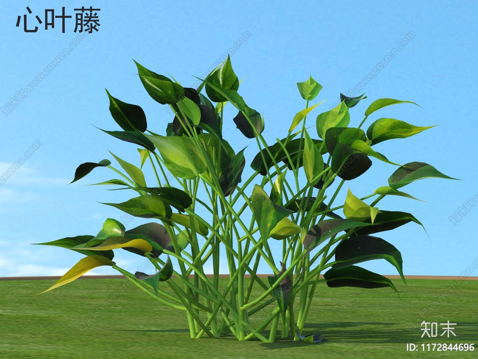 草3D模型下载【ID:1172844696】