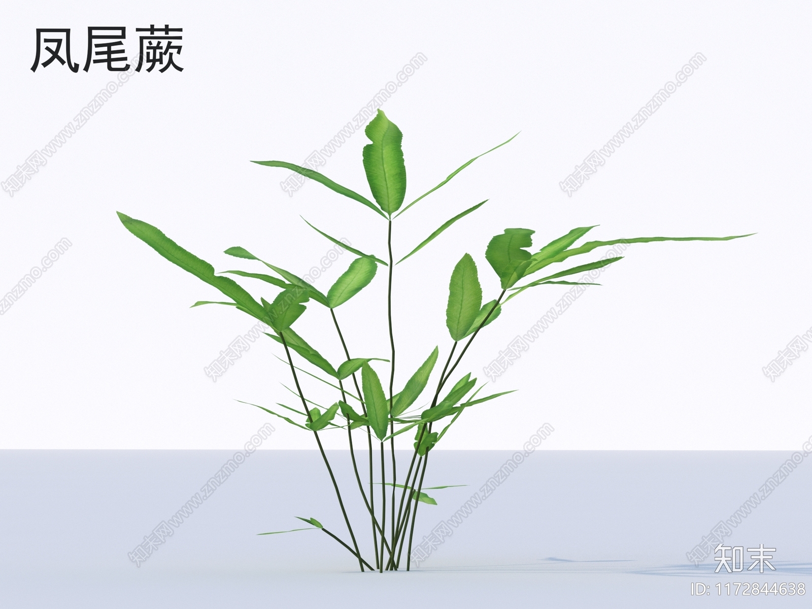 草3D模型下载【ID:1172844638】