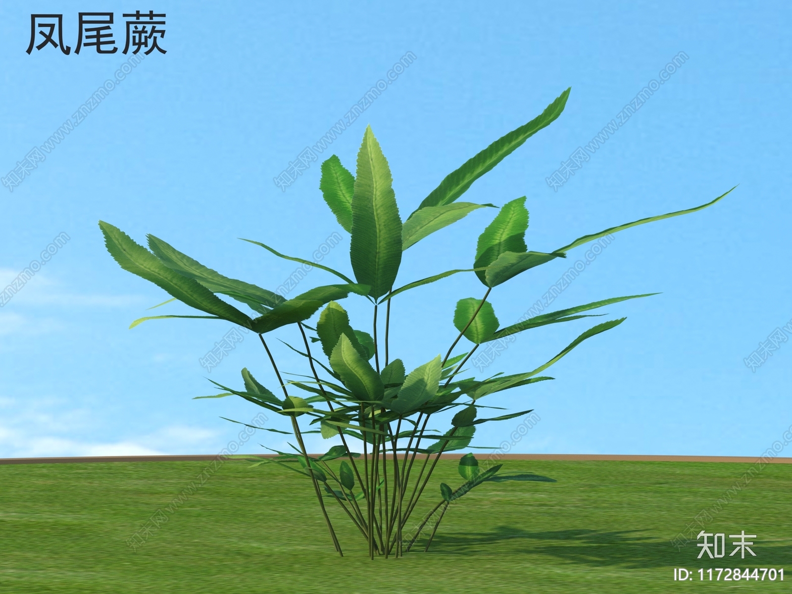 草3D模型下载【ID:1172844701】